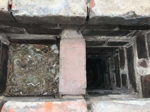Bird Nest in Chimney Swindon